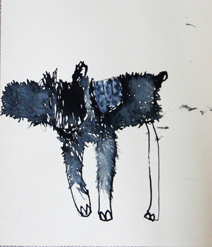 Animal